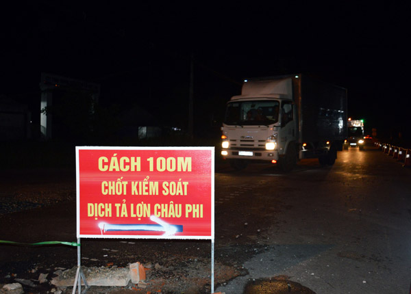 Giá heo hơi hôm nay: ĐBSCL tăng đột biến rồi trồi sụt thất thường - 1