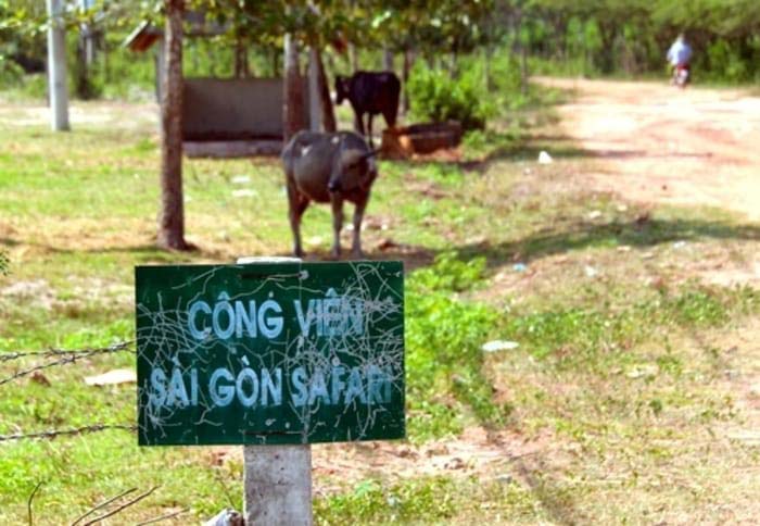 Vụ Sài Gòn Safari “treo” 14 năm”: Hàng loạt cơ quan chức năng TP.HCM bị quy trách nhiệm - 1