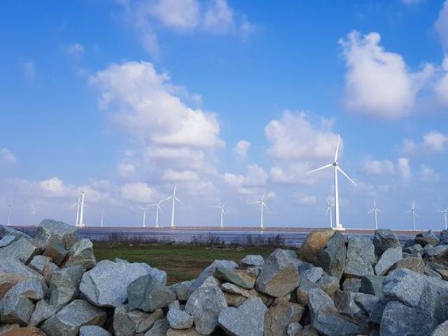 Du lịch - Về "xứ sở hào hoa" Bạc Liêu, ngắm cánh đồng quạt gió đẹp như "trời Âu"