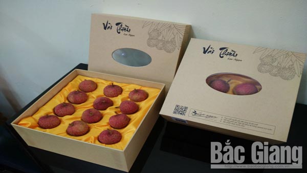 Xuất hiện vải thiều hữu cơ đóng hộp &#34;xịn&#34;, giá 200.000 đồng 12 quả - 1