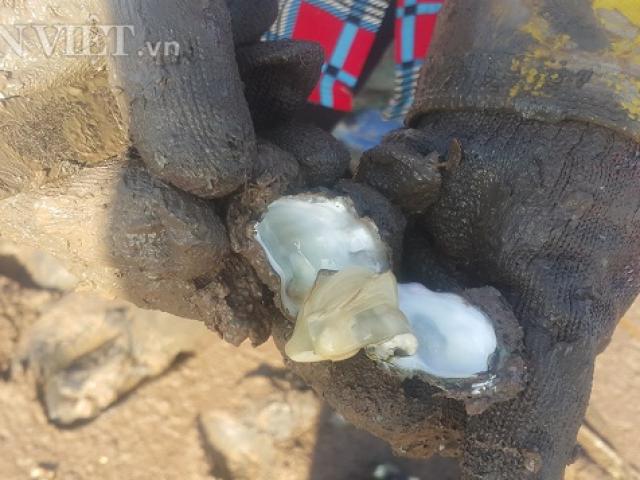 Thị trường - Tiêu dùng - Nam Định: Chị em đội nắng 40 độ, săn con tốt cho sinh lý đàn ông