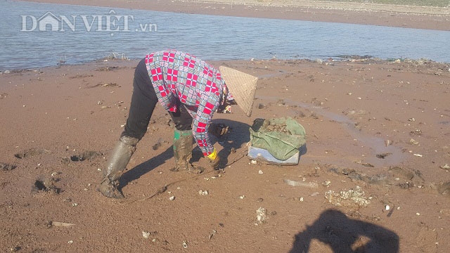 Nam Định: Chị em đội nắng 40 độ, săn con tốt cho sinh lý đàn ông - 1