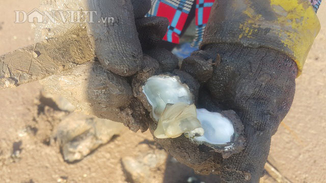 Nam Định: Chị em đội nắng 40 độ, săn con tốt cho sinh lý đàn ông - 4