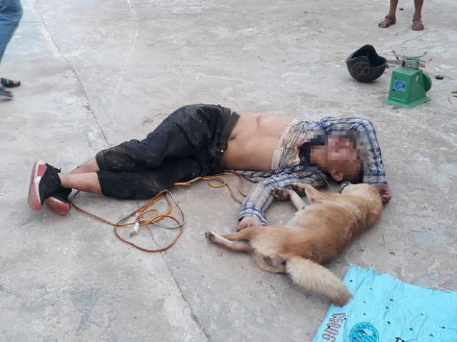 Pháp luật - Trộm chó còn đánh cả chủ nhà, "cẩu tặc" lĩnh hậu quả