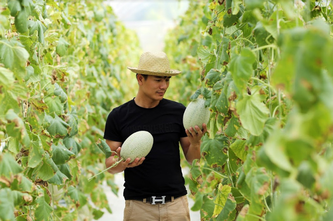 Trải nghiệm du lịch nông trại HOT nhất hè 2019 - 2