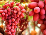 Sức khỏe đời sống - Những thực phẩm bổ máu, cực kỳ tốt cho thận