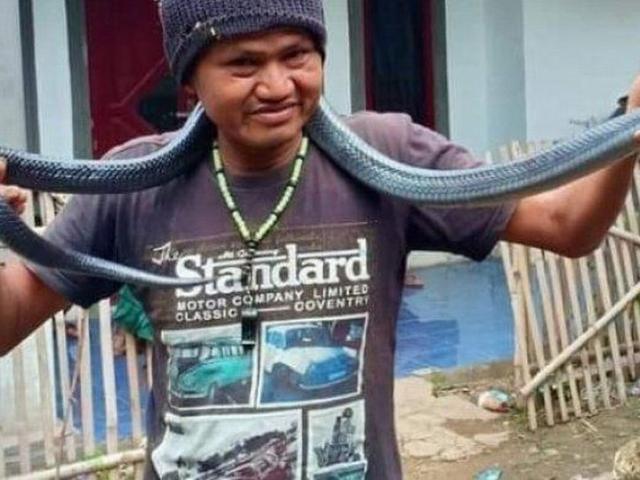 Thế giới - Indonesia: Tắm cho trăn cưng, chủ bất ngờ bị siết đến chết