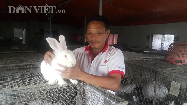Thái Bình: Trên nuôi thỏ, dưới nuôi giun, lãi 20 triệu mỗi tháng - 1