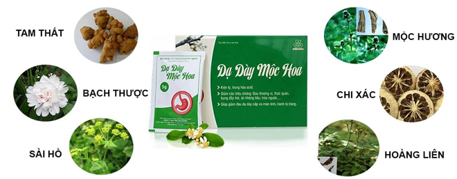 Thoát nỗi ám ảnh đau dạ dày nhờ thảo dược Dạ dày Mộc Hoa - 3