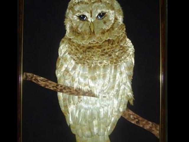 Kinh doanh - Những ý tưởng kinh doanh “nghe như đùa” mà kiếm bộn tiền