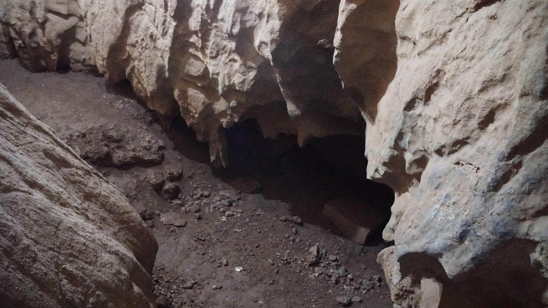 Ngôi chùa kỳ bí chứa cổ vật từ vạn năm trước: Khám phá hang xương trong lòng núi đá - 5