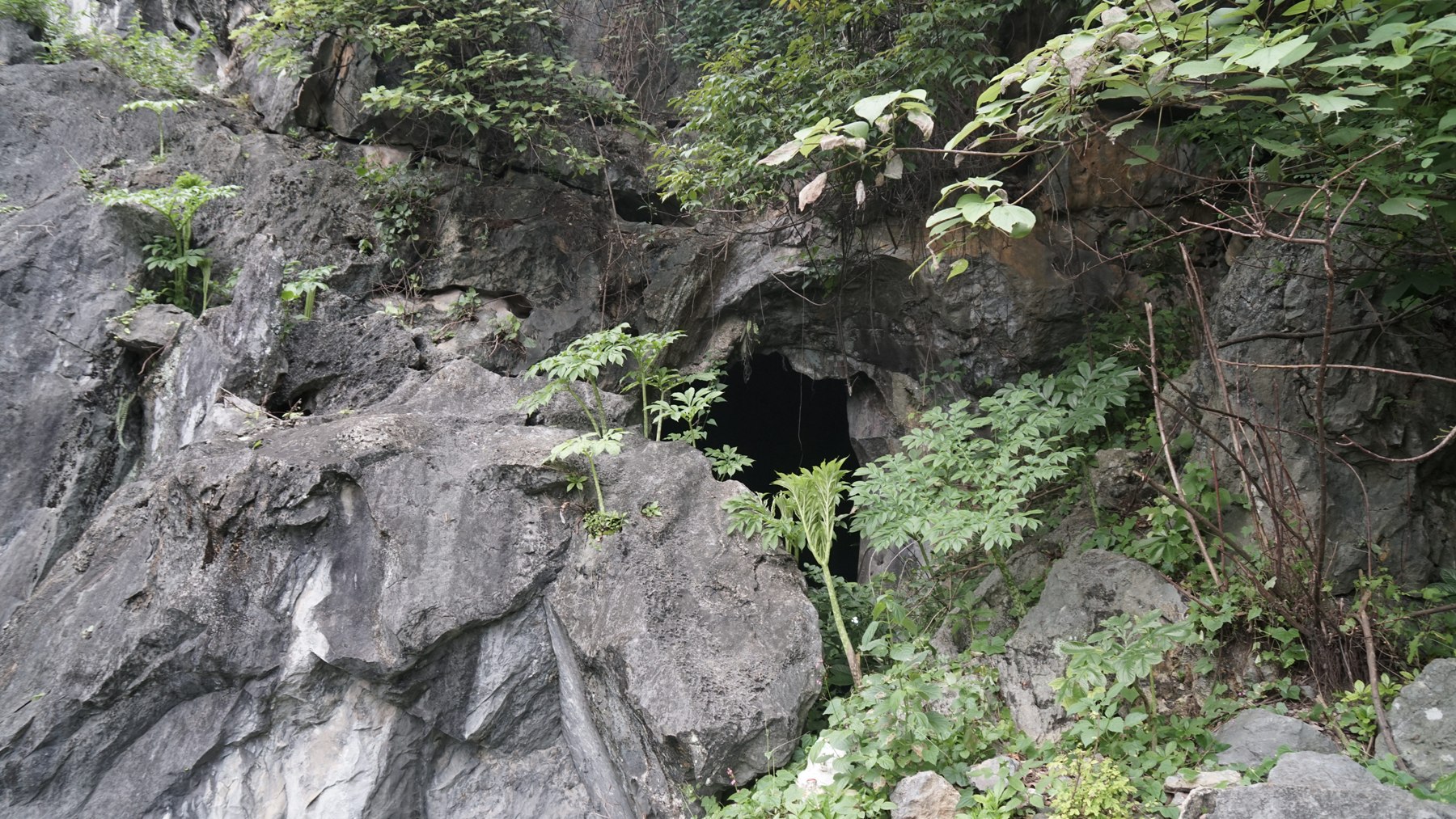 Ngôi chùa kỳ bí chứa cổ vật từ vạn năm trước: Khám phá hang xương trong lòng núi đá - 12