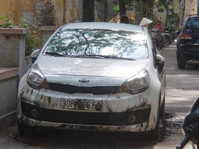 Tin tức trong ngày - Hà Nội: Sự thực thông tin "xe ô tô bị đốt vì đỗ chắn lối đi ở Kim Liên"