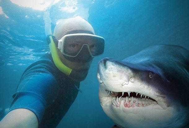Hành động quen thuộc gây chết người nhiều gấp 5 lần so với bị cá mập tấn công - 1