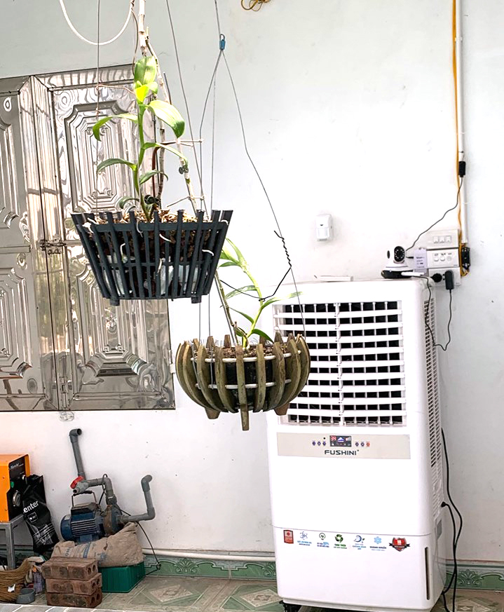 Chủ giò lan chục tỷ “Người đẹp Bình Dương” tiết lộ cách chăm sóc, bảo vệ cây - 3