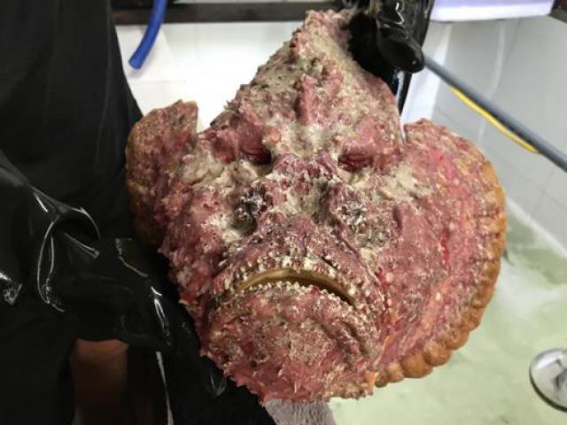 Thị trường - Tiêu dùng - Những mặt hàng mang tên “ma quỷ” mà nườm nượp người mua