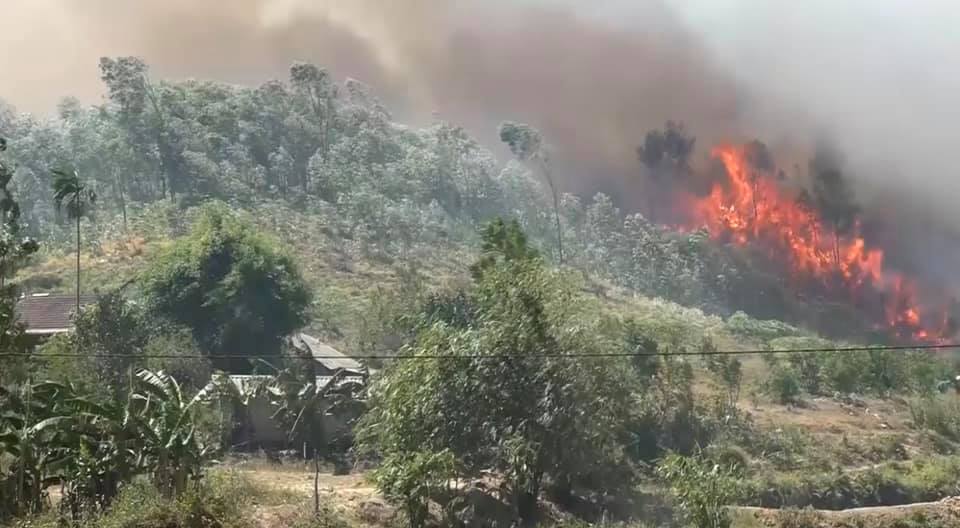 Tham gia dập lửa cứu rừng, người phụ nữ bị thiêu cháy - 1