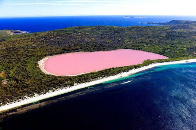 Hồ muối hồng Hiller, Công viên quốc gia Cape Arid, Tây Úc:  Đây là hồ nước hồng lớn nhất thế giới. Sắc hồng tươi sáng của hồ là do sự hiện diện của các vi khuẩn tạo màu dưới đáy hồ kết hợp với muối.