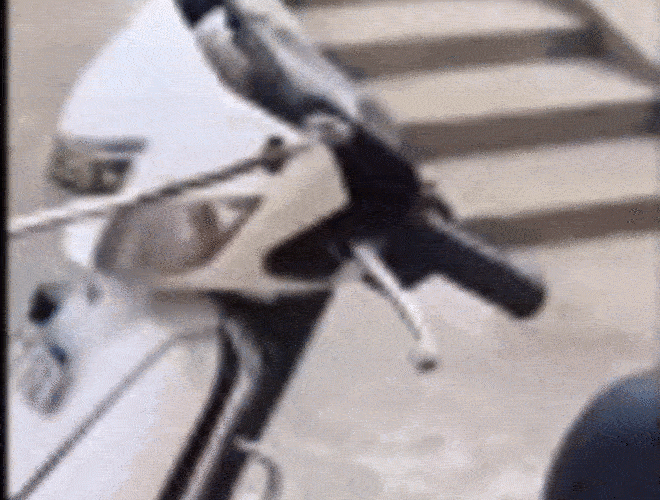 Video: Hổ mang chúa chui trong xe ga bị cao thủ bắt sống bằng bình nhựa - 1