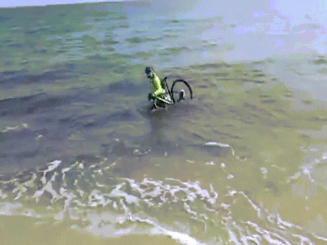 Người đạp xe chạy xuống biển để tránh bị cảnh sát phạt
