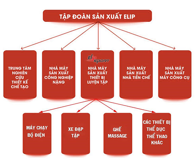 Sơ đồ sản xuất của tập đoàn ELIP&nbsp;