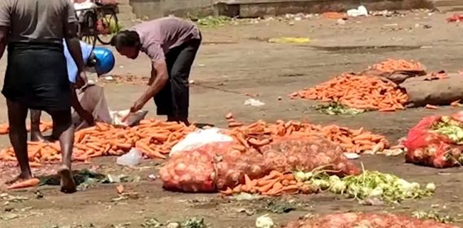 Nhiều cà rốt bị đổ bỏ giữa đường vì không bán được giữa lúc Covid-19 bùng phát.&nbsp;