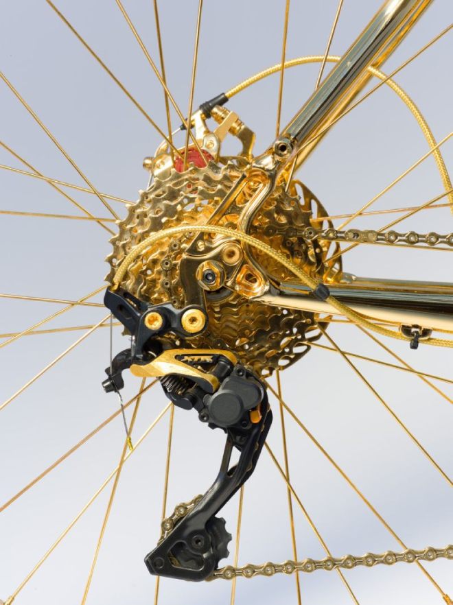 Lóa mắt xe đạp leo núi bằng vàng giá 1 triệu đô, nạm 600 hạt kim cương - 3