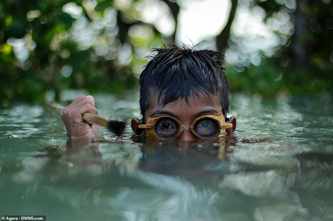 Cậu bé đi săn bạch tuộc dưới biển ở Indonesia.
