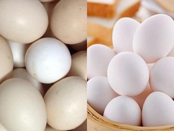 Trứng gà công nghiệp bị tẩy trắng thường có màu trắng hồng hoặc vỏ trứng như có lớp bụi nhám bên ngoài