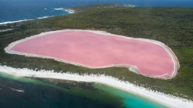 Hồ Hillier, Australia: Hồ nước mặn trên quần đảo Recherché nổi tiếng với nước màu hồng, được cho là tạo ra bởi một loại tảo khi chúng sinh sôi mạnh.
