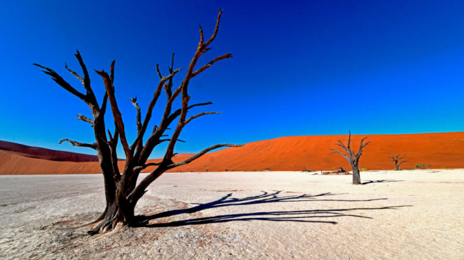 Vùng lòng chảo Dead Vlei, Namibia: Là một trong những địa điểm du lịch hấp dẫn nhất ở Namibia, vùng lòng chảo Dead Vlei nằm giữa những cồn cát cao nhất thế giới, với một số cao tới 400m.
