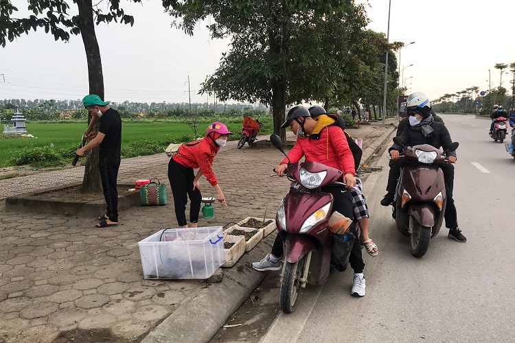 Tôm hùm lần đầu xuất hiện trên vỉa hè đường Phúc La – Văn Phú (Hà Đông) thu hút sự quan tâm của người qua đường.