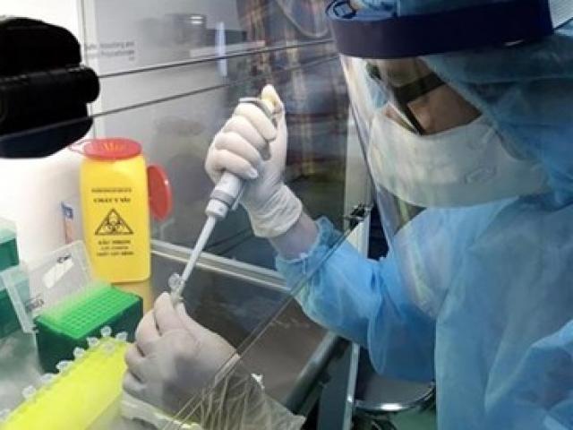 Tin tức trong ngày - Kết quả xét nghiệm con dâu và con trai của ca nhiễm Covid-19 số 251