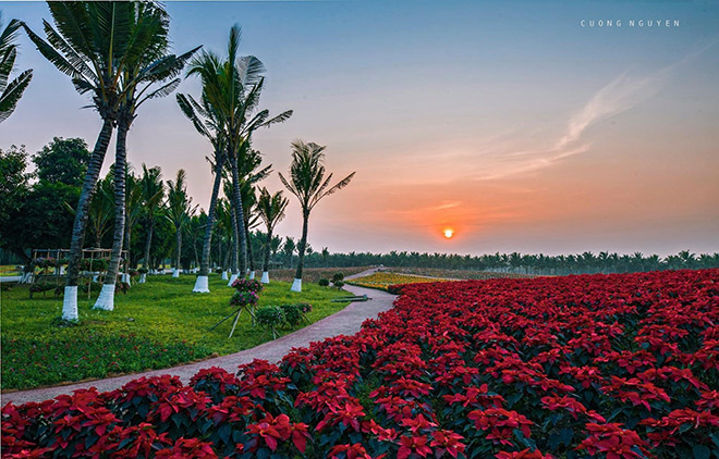 Ra mắt tòa tháp đôi 41 tầng cùng hàng loạt tiện ích tầm cỡ trong Ecopark - 8