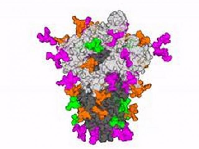Thế giới - Tìm ra “điểm yếu chí mạng" của virus SARS-CoV-2, hứa hẹn đẩy nhanh chế tạo vaccine
