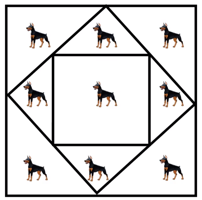 Bài toán nhốt chó khiến biết bao người điên đầu - 2