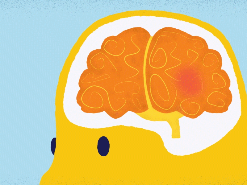 Não bộ đóng một vai trò vô cùng quan trọng trong suy nghĩ, hành động của con người.
