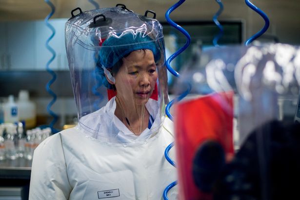 Nhà khoa học trong bộ đồ bảo hộ tại Viện virus học Vũ Hán (ảnh: Dailystar)