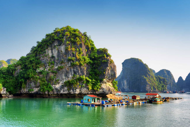 Cư dân sống trên các ngôi làng nổi chủ yếu sống bằng nghề nuôi trồng thủy sản và phục vụ khách du lịch.
