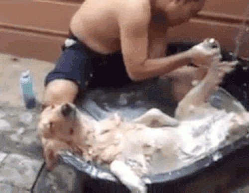 Khoảnh khắc không đỡ nổi khi động vật "nổi giận" - 9