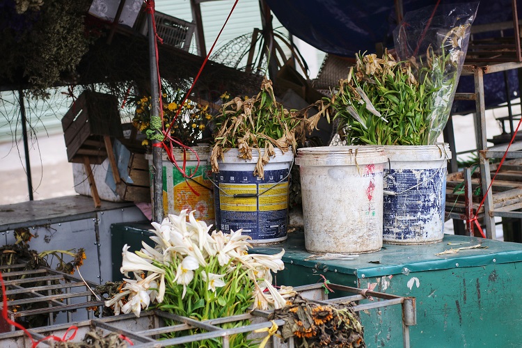 Cảnh tượng lạ chưa từng thấy ở chợ hoa lớn nhất Hà Nội - 7