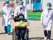 Thế giới - WHO: Phát hiện người khỏi Covid-19 không đủ kháng thể, không chắc miễn nhiễm với virus