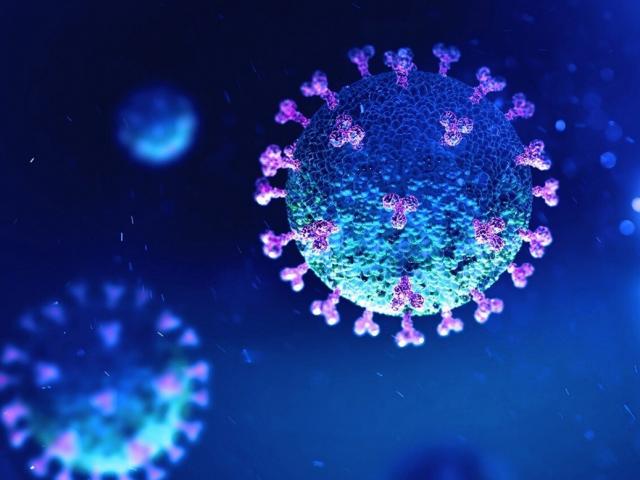 Thế giới - Phát hiện mới về khả năng tồn tại của SARS-CoV-2 ở nhiệt độ cao