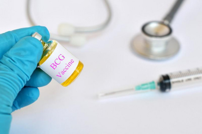 Vaccine ngừa lao BCG (Bacillus Calmette-Guérin) có thể là một giải pháp giúp ngừa COVID-19? Ảnh: SHUTTERSTOCK