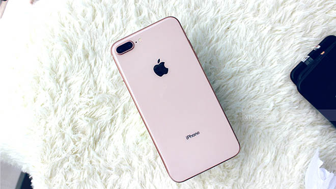 Apple mở đường iPhone SE Plus khi khai tử iPhone 8 Plus? - 2