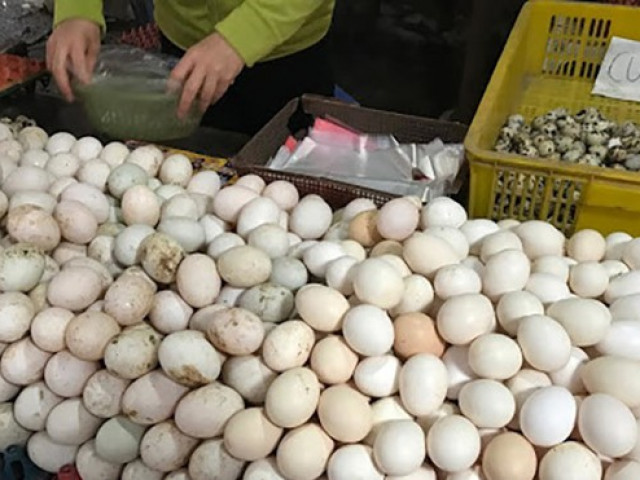 Thị trường - Tiêu dùng - Trứng gà rẻ hơn rau, chủ trang trại lỗ chục tỷ đồng
