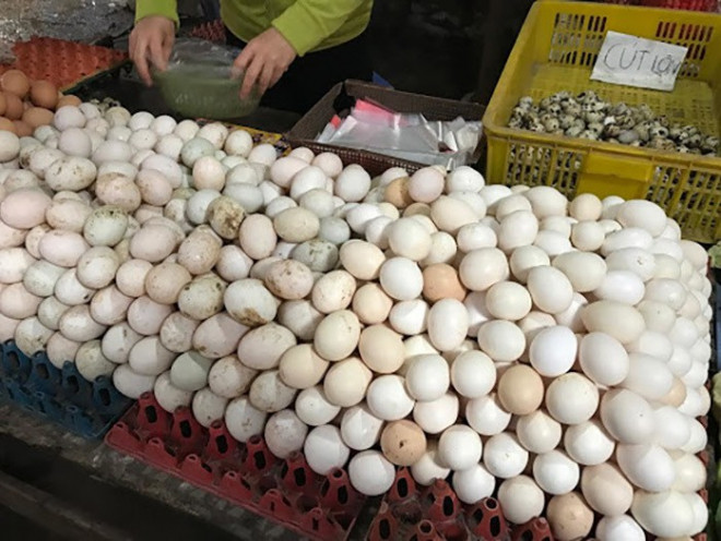 Nhiều trang trại gà đẻ quy mô lớn lỗ tiền tỷ mỗi tháng vì giá trứng rớt giá thê thảm