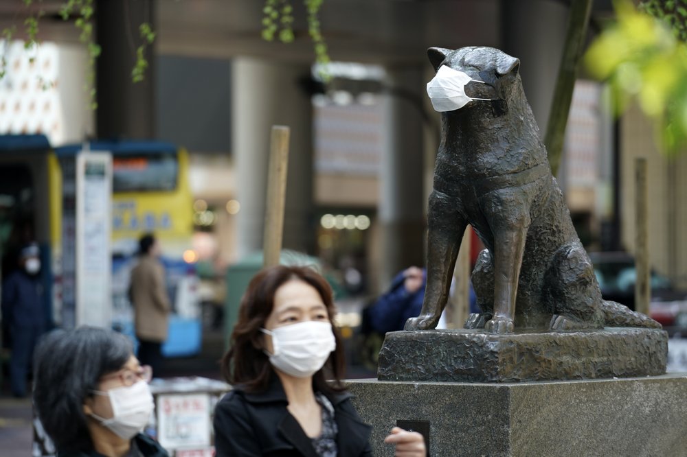 Bức tượng chú chó Hachiko nổi tiếng được đeo khẩu trang tại Nhật Bản (ảnh: AP)