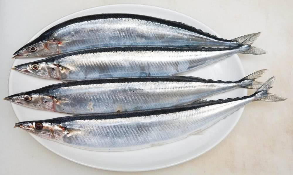 Loại cá rẻ tới mức người dân TQ chẳng thèm mua, nhưng người Nhật lại ăn 3 bữa một ngày - 1