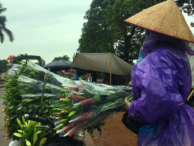 Để vớt vát chút tiền giống, một số người đội mưa cắt hoa ra chợ bán với giá 6.000 đồng/ cành, mỗi cành ly phải chịu lỗ quá nửa.